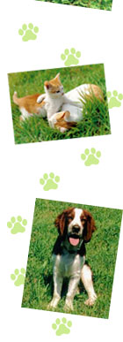 Garretts Pet Ranch - Grooming & Boarding Services for Dogs and Cats - Townville, Anderson & Upstate, SC